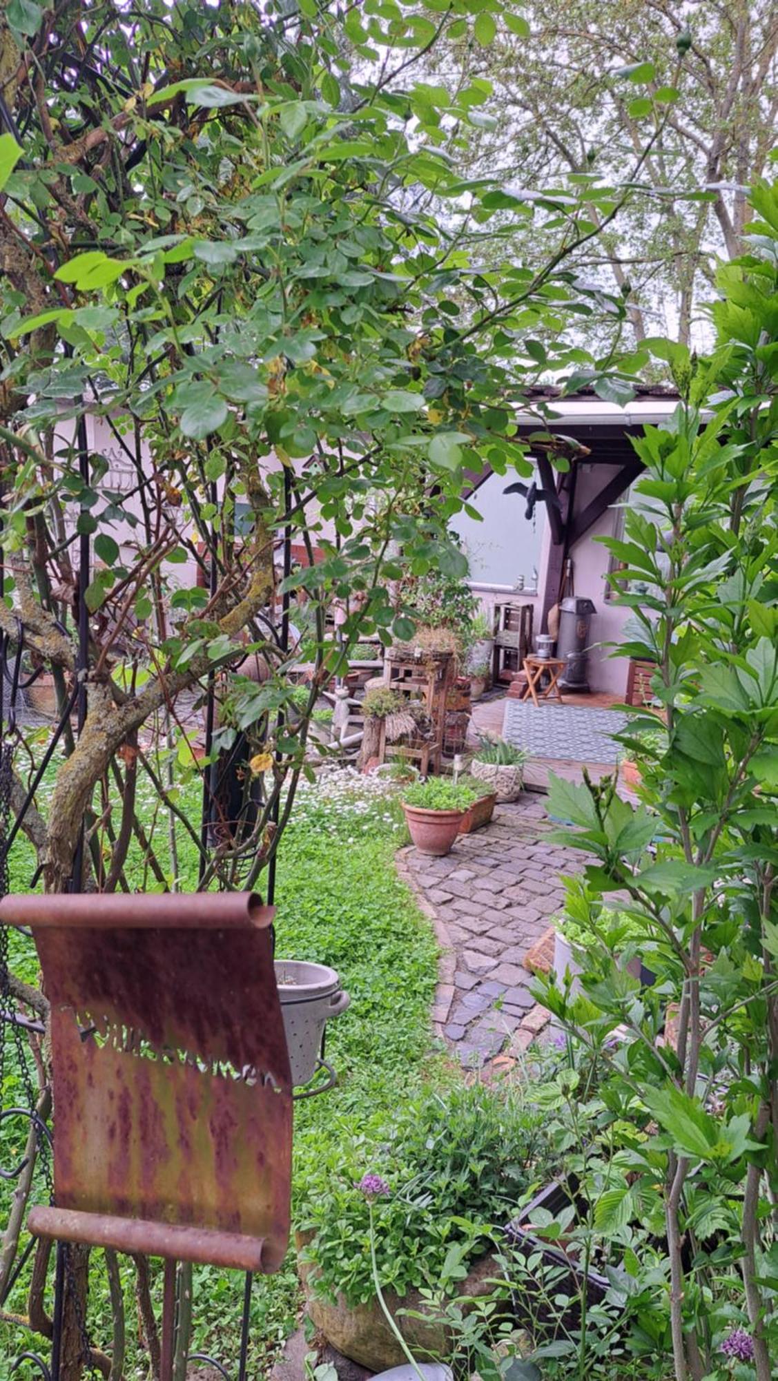 Ferienwohnung Vogt Mertloch Zewnętrze zdjęcie
